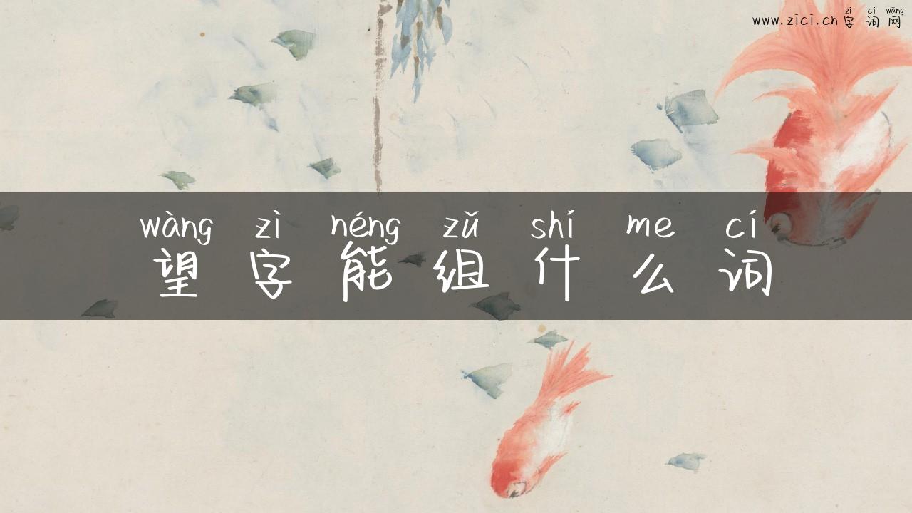望字能组什么词