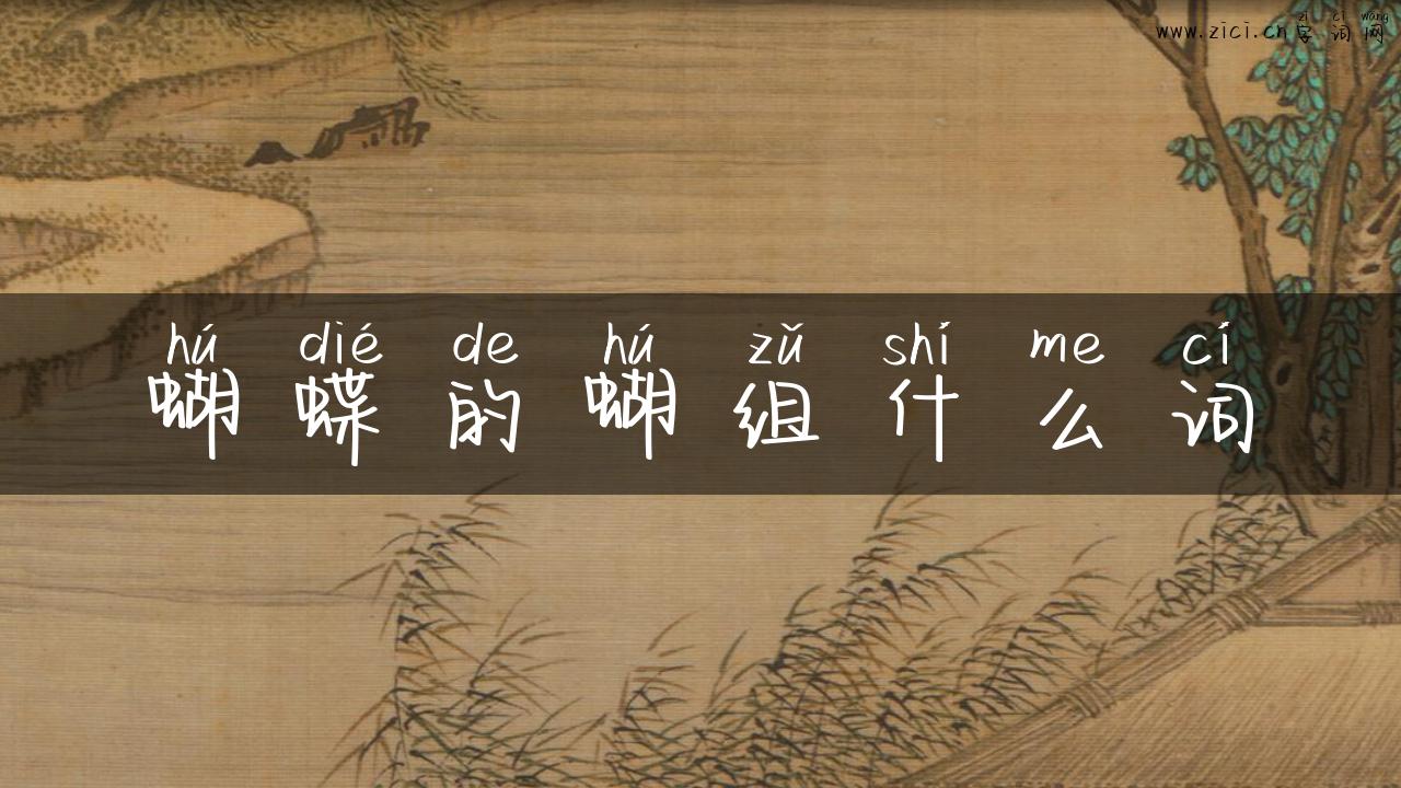 蝴蝶的蝴组什么词