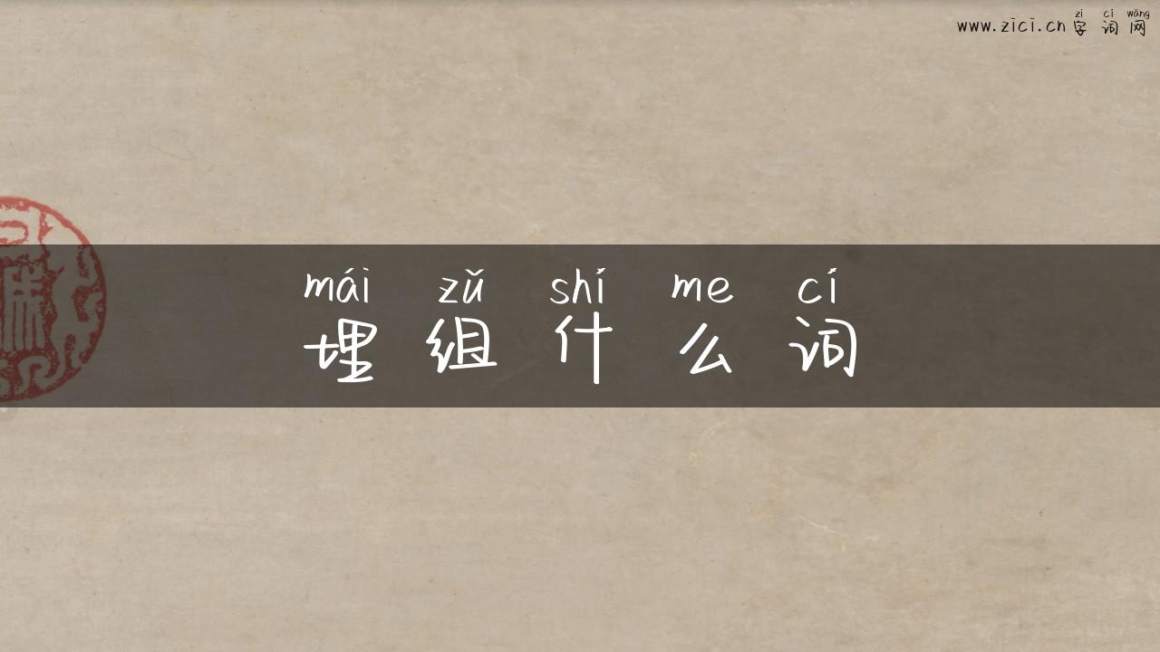 埋组什么词