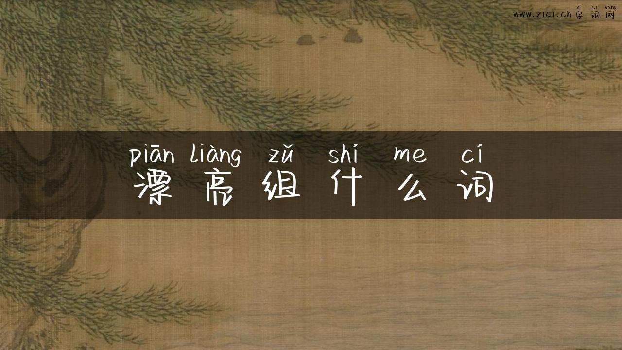 漂亮组什么词