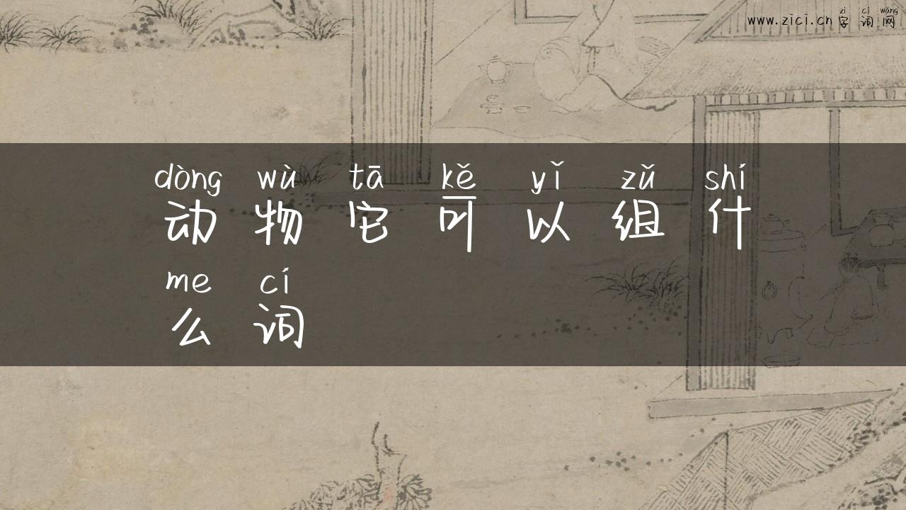 动物它可以组什么词