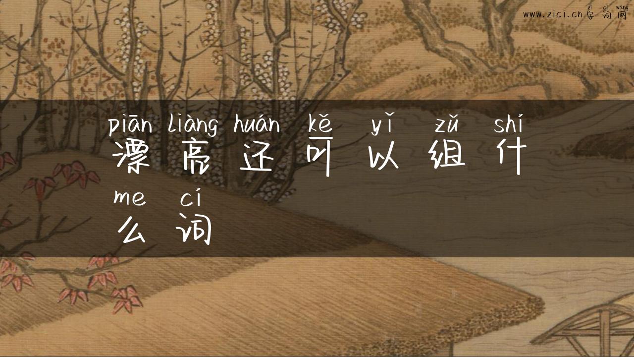 漂亮还可以组什么词