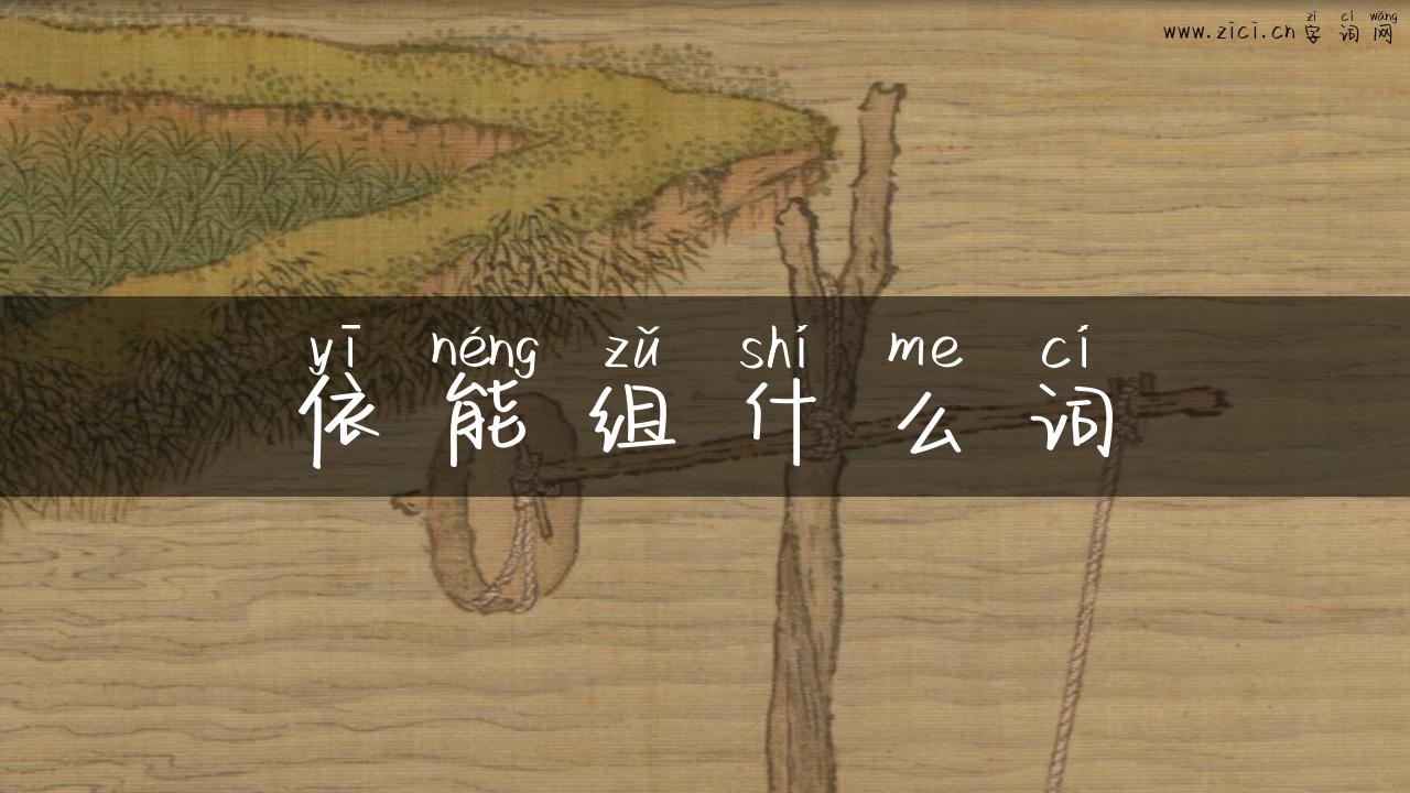 依能组什么词