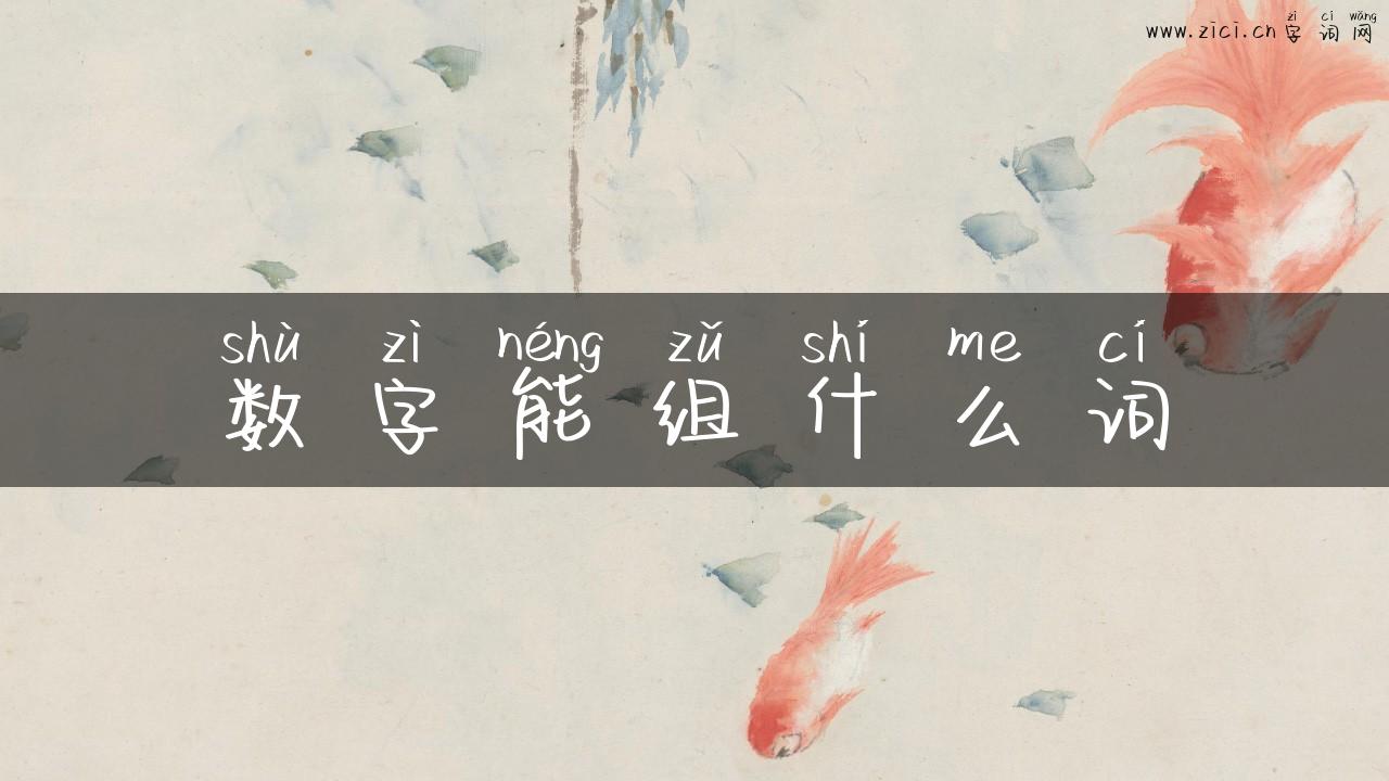 数字能组什么词