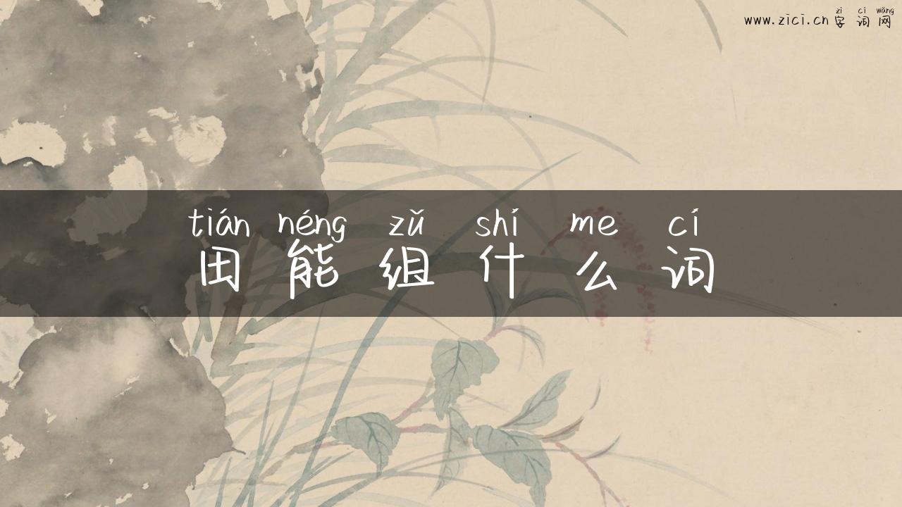 田能组什么词