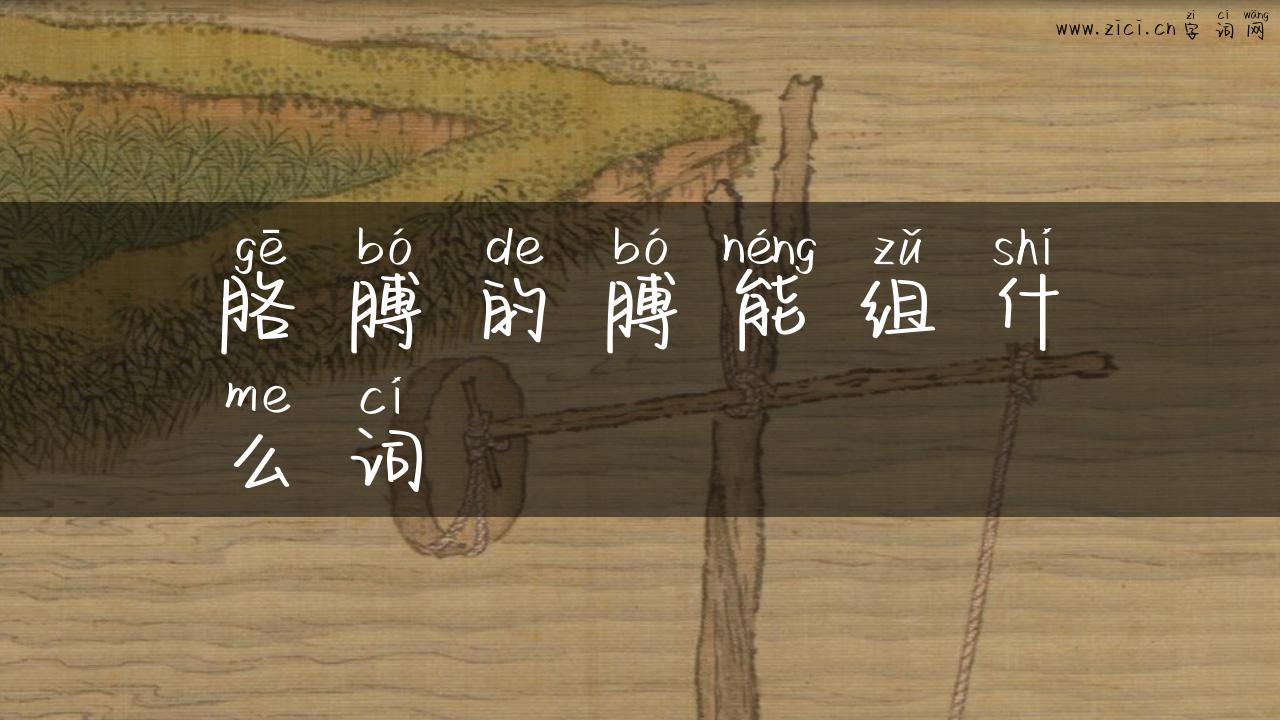 胳膊的膊能组什么词