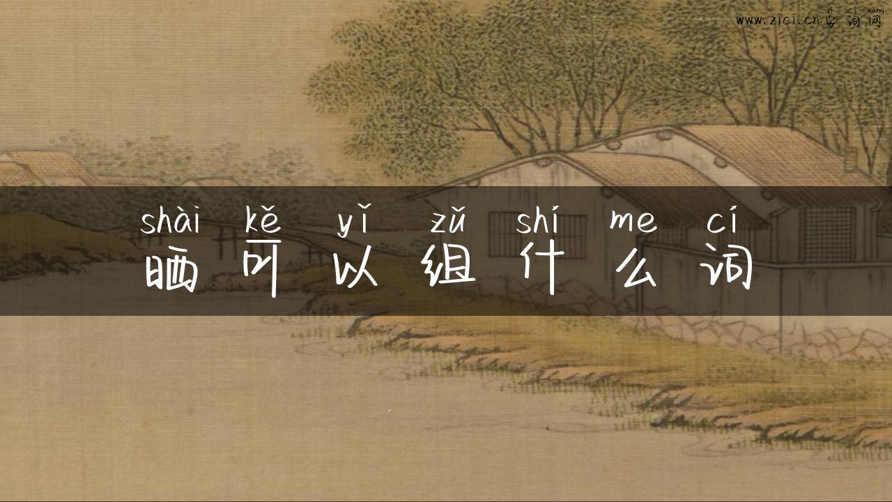 晒可以组什么词