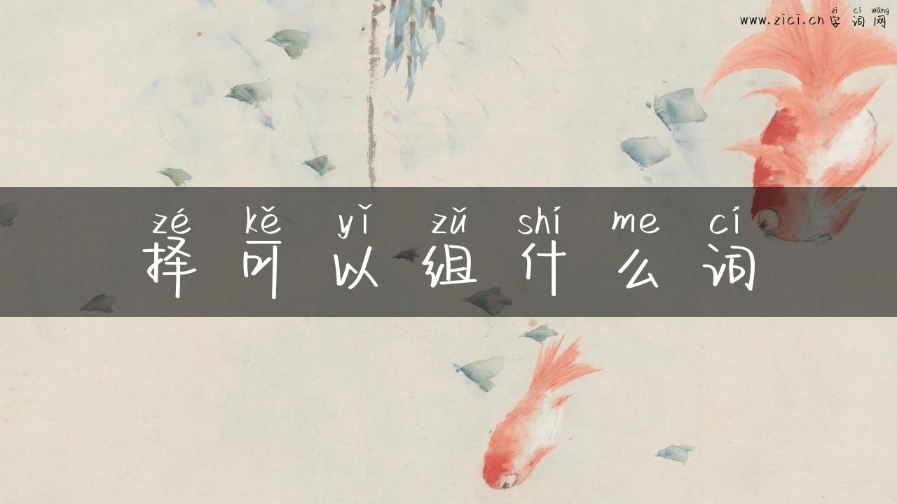 择可以组什么词
