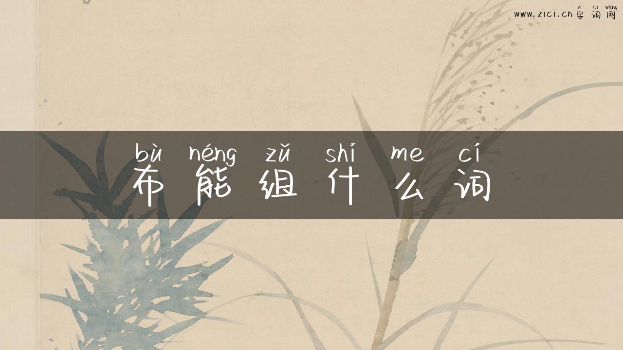 布能组什么词