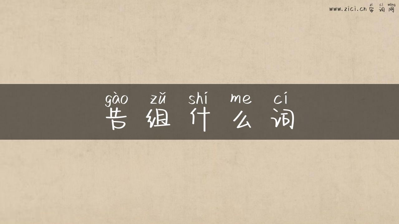 告组什么词