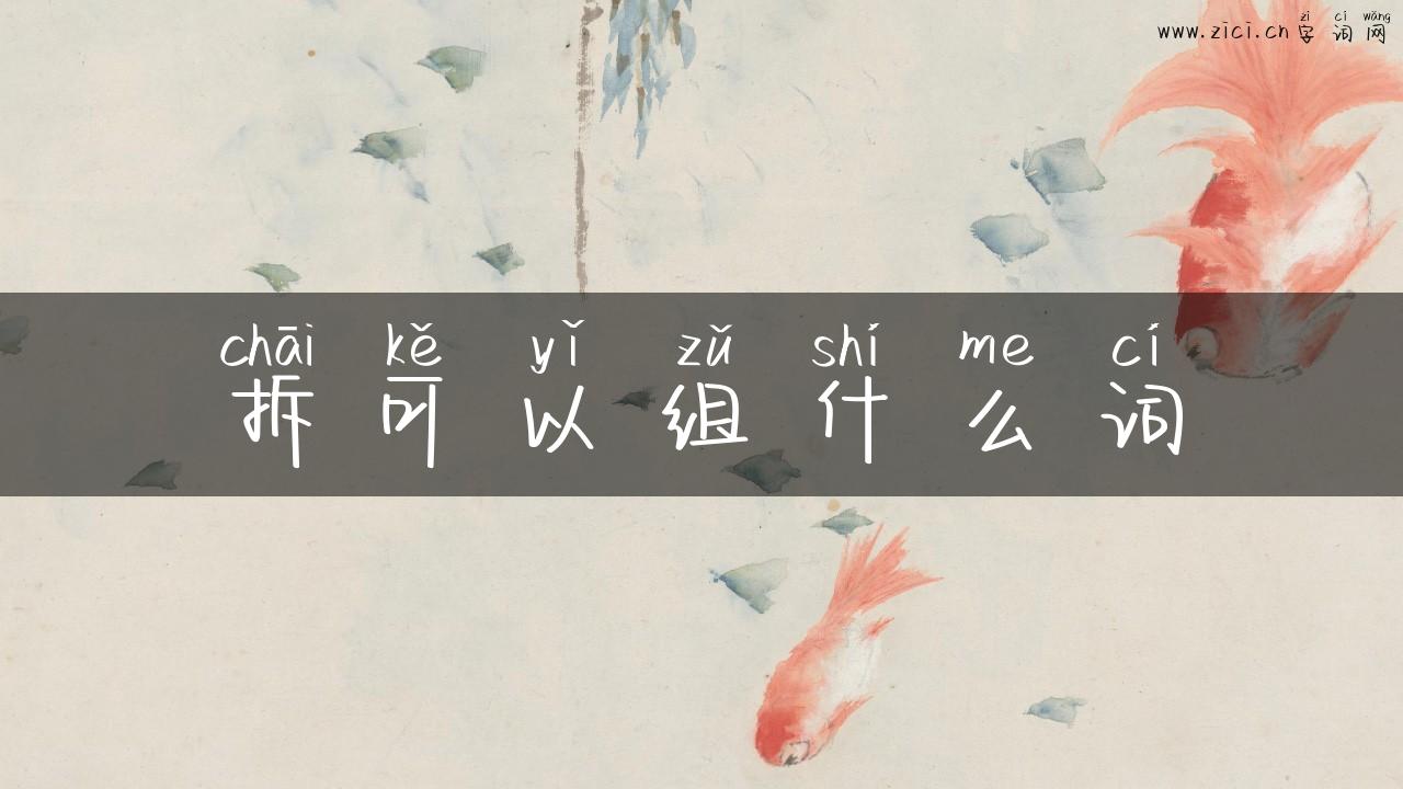 拆可以组什么词