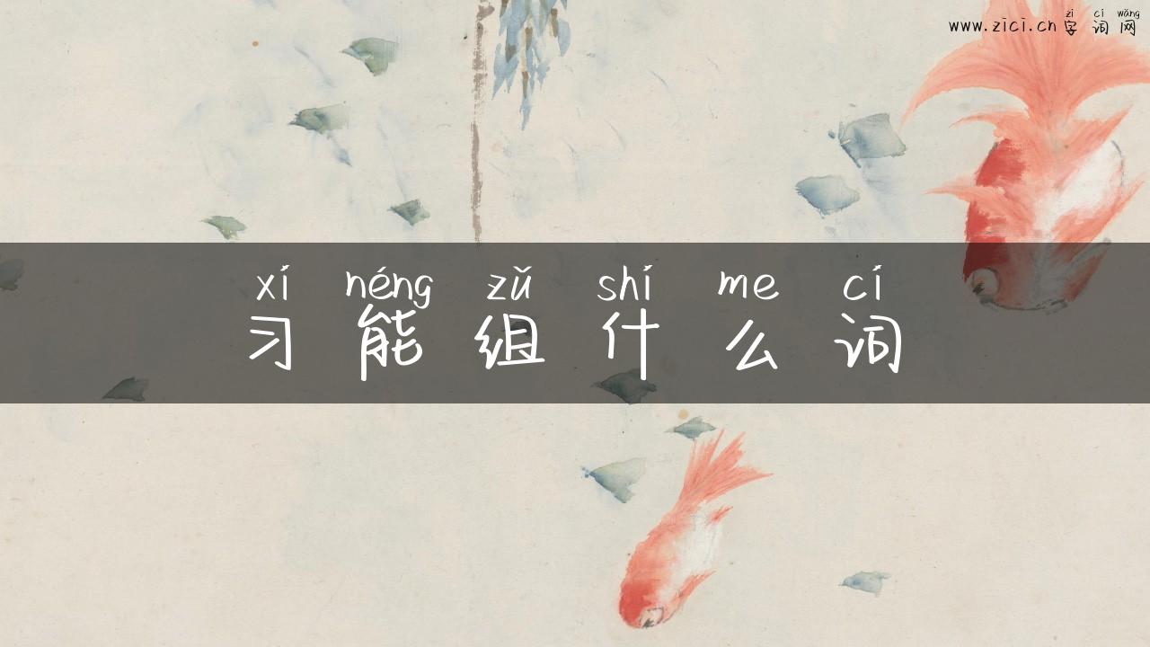 习能组什么词