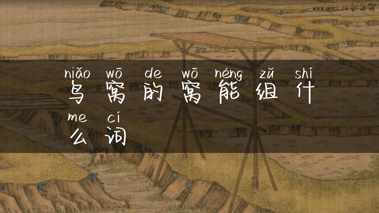 鸟窝的窝能组什么词