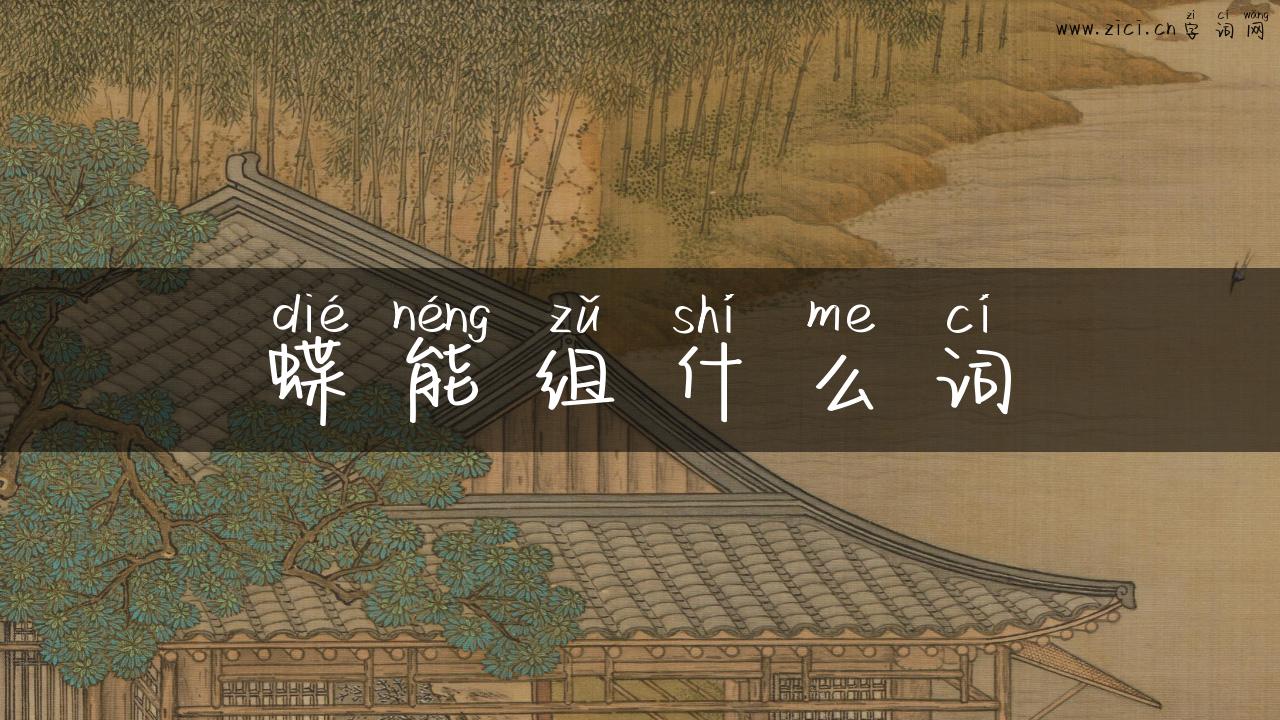 蝶能组什么词