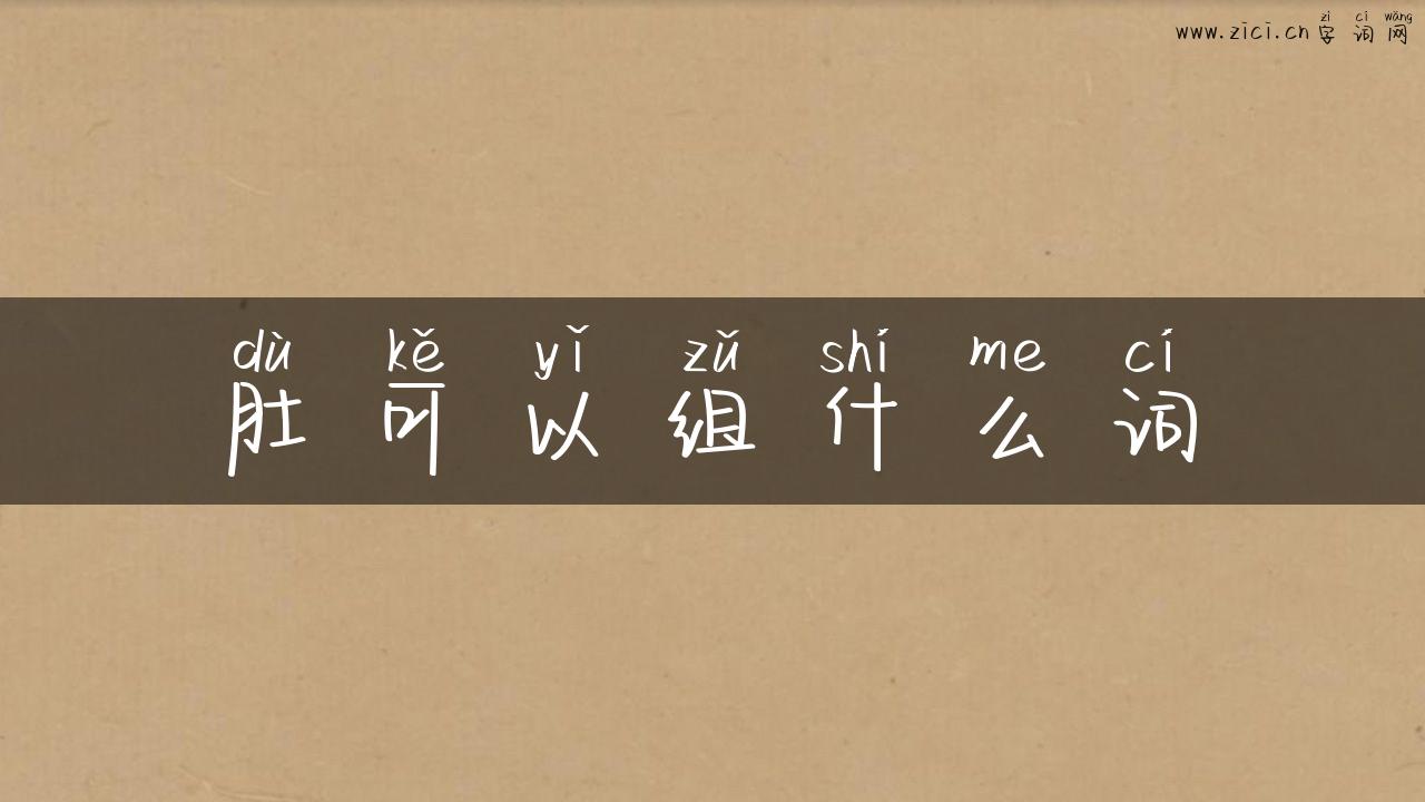 肚可以组什么词