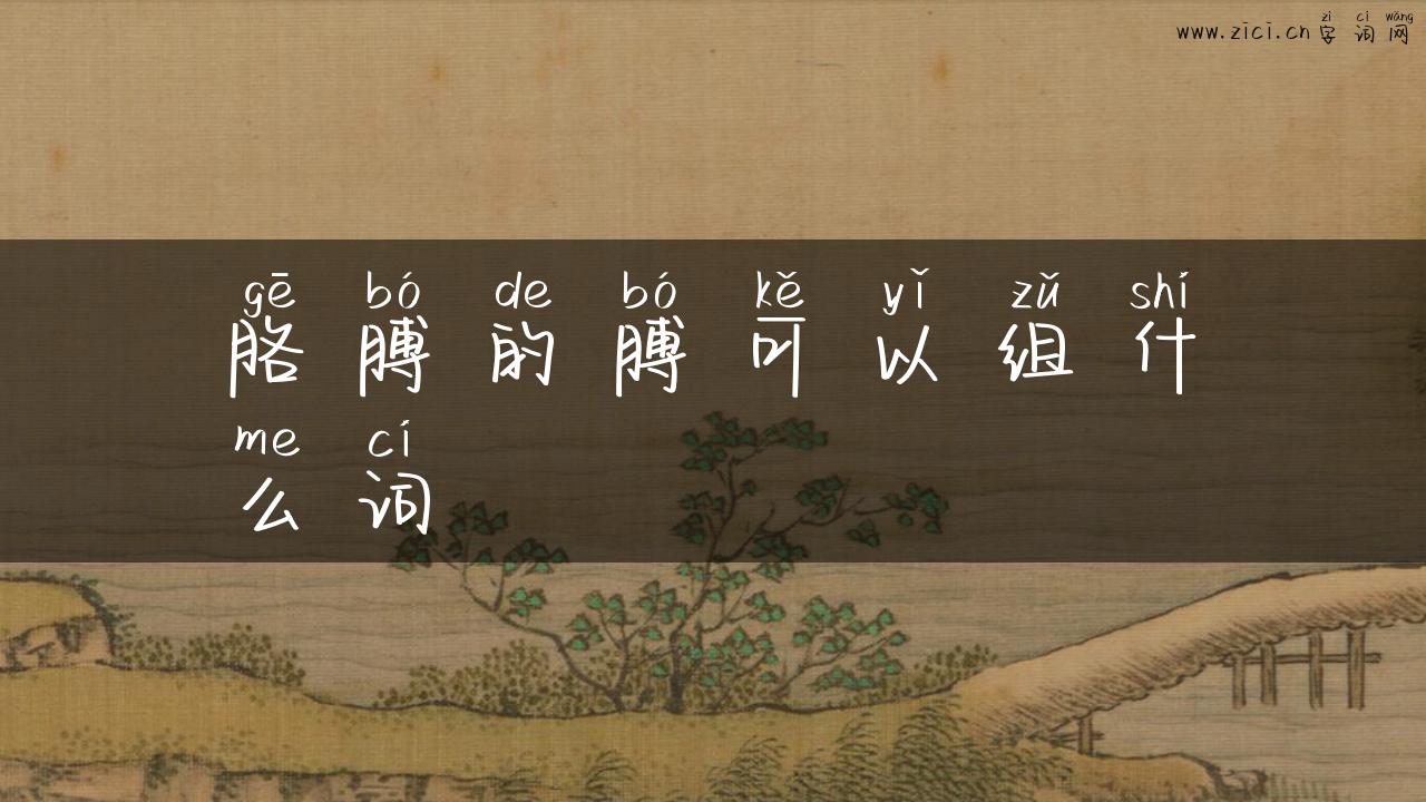 胳膊的膊可以组什么词