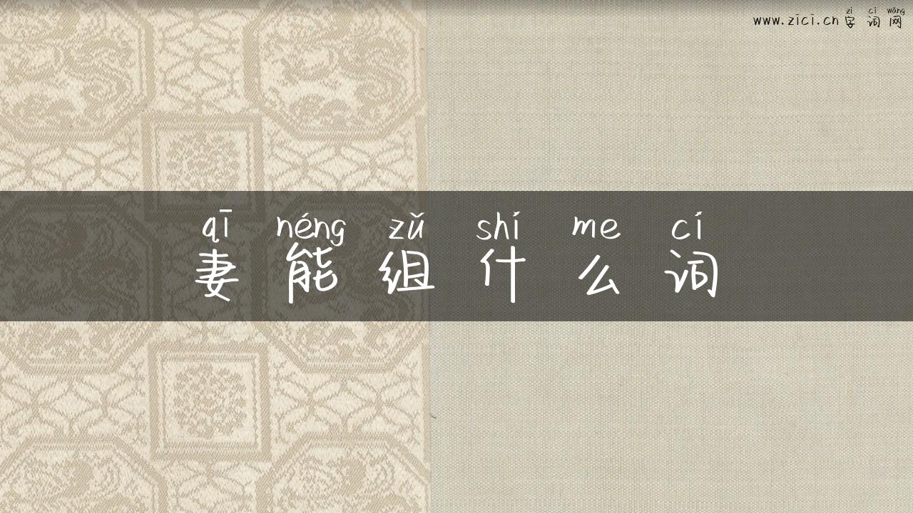 妻能组什么词