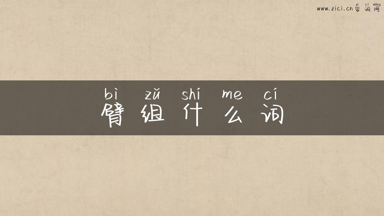 臂组什么词