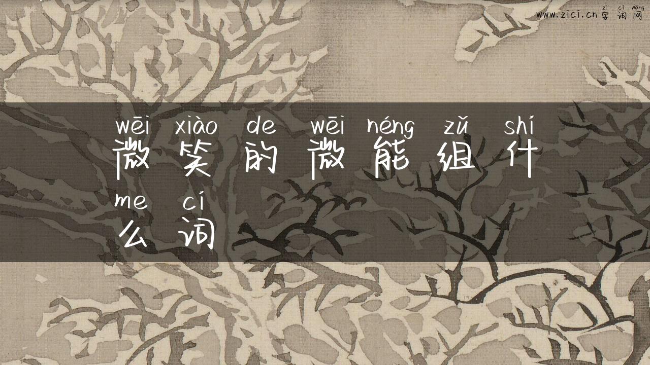 微笑的微能组什么词