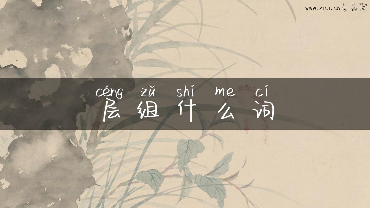 层组什么词