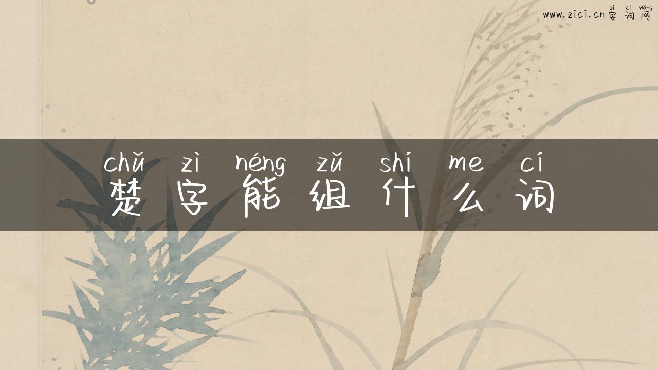 楚字能组什么词