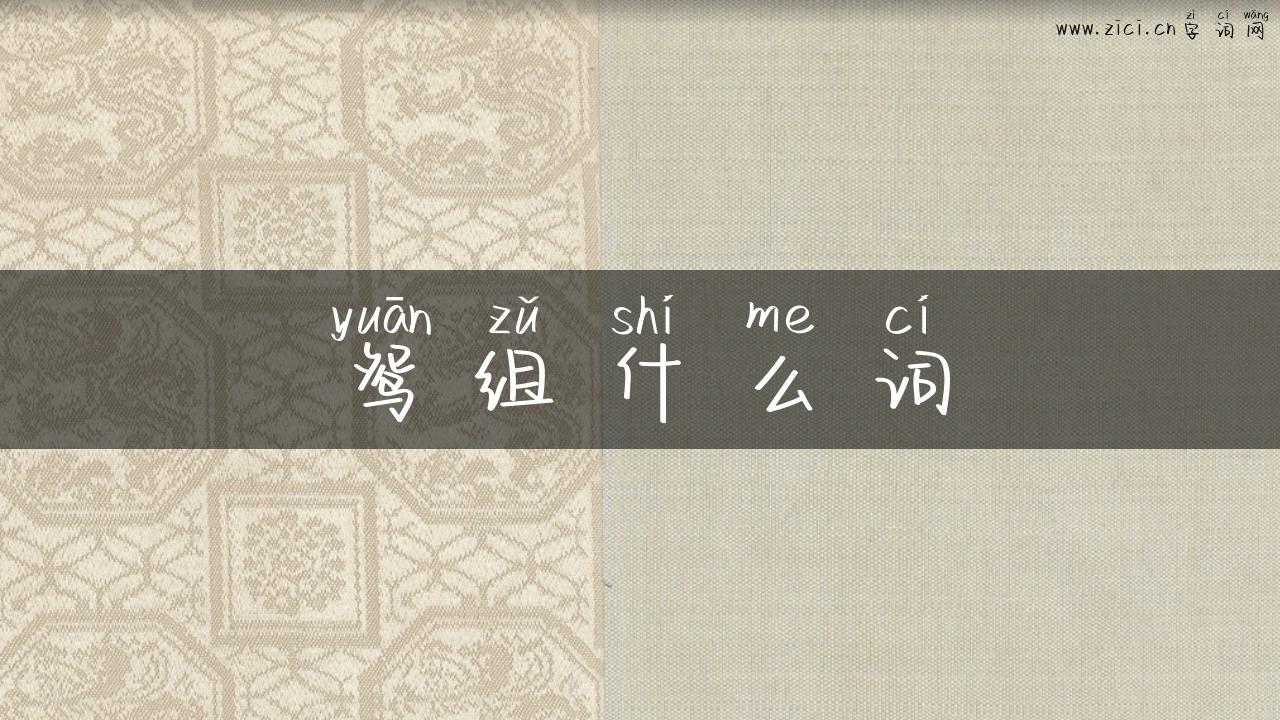鸳组什么词