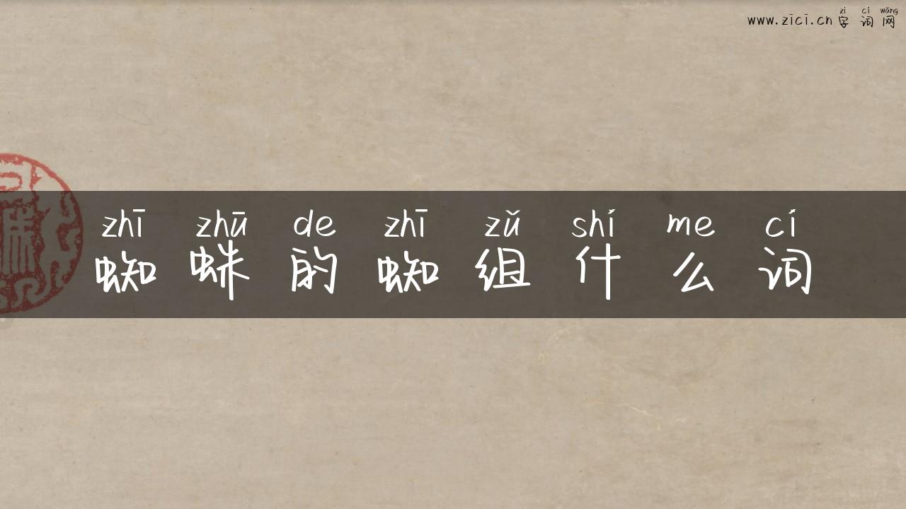 蜘蛛的蜘组什么词