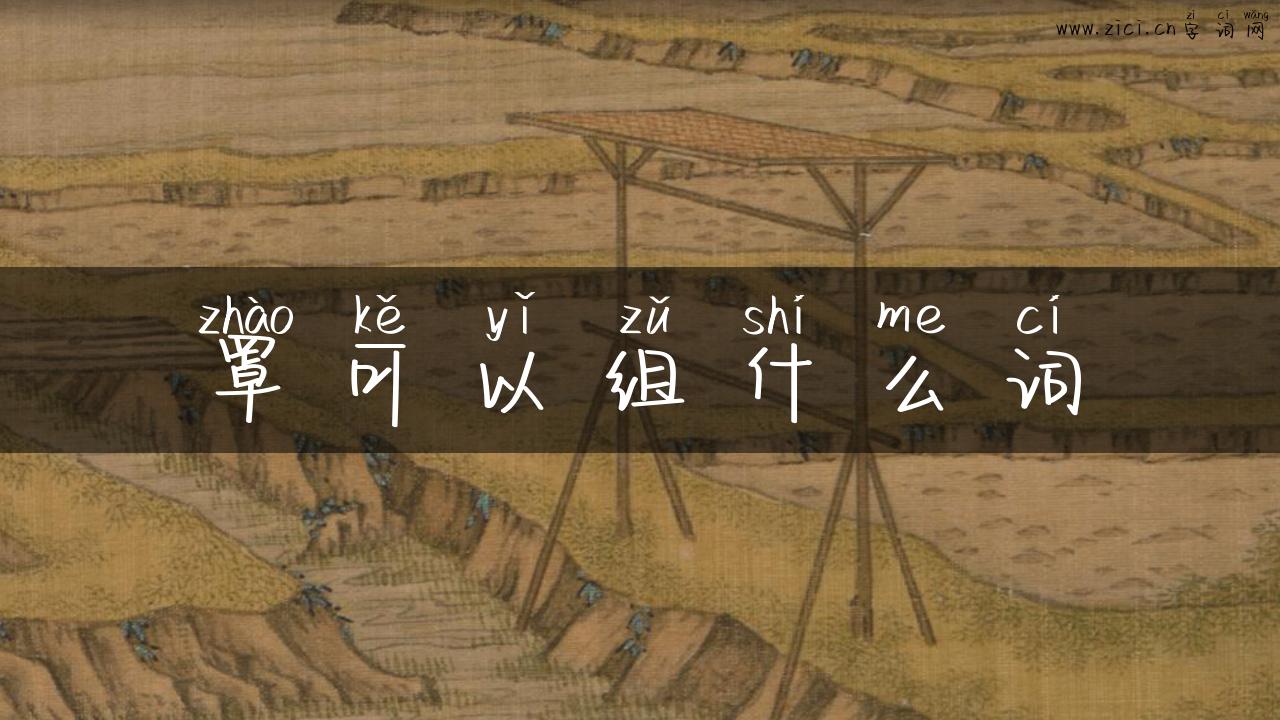 罩可以组什么词