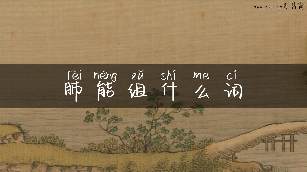 肺能组什么词