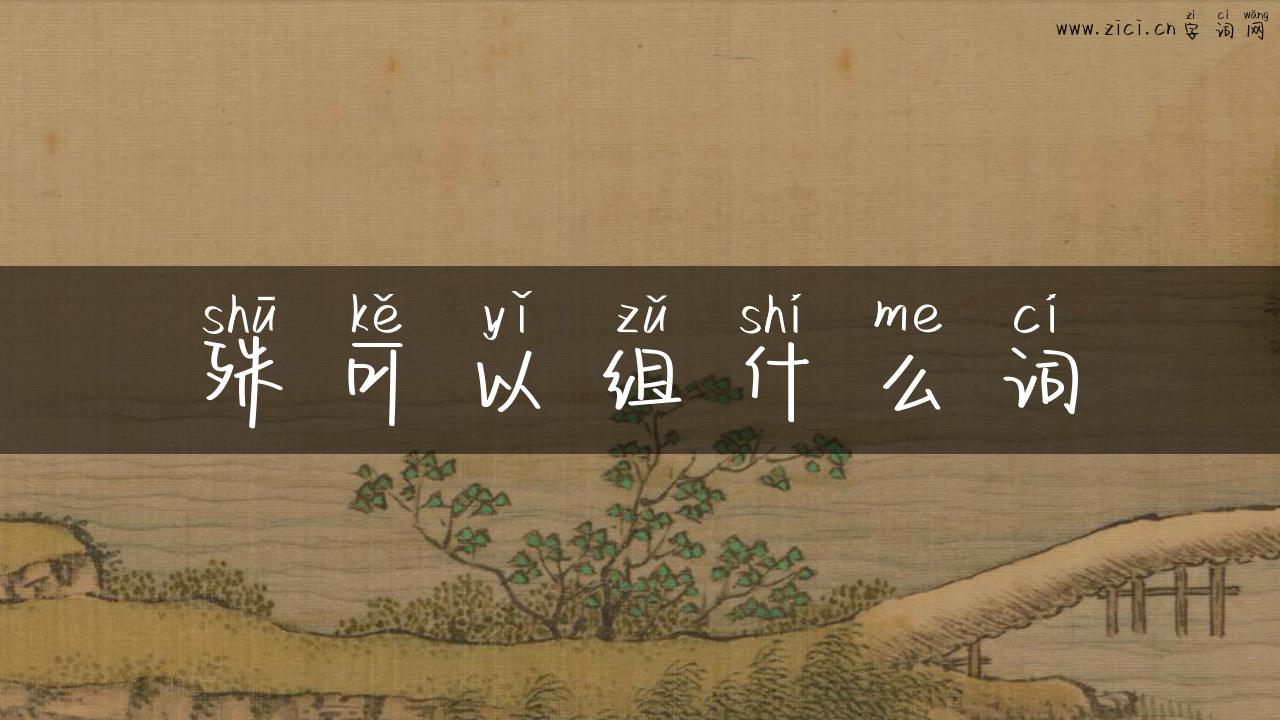 殊可以组什么词
