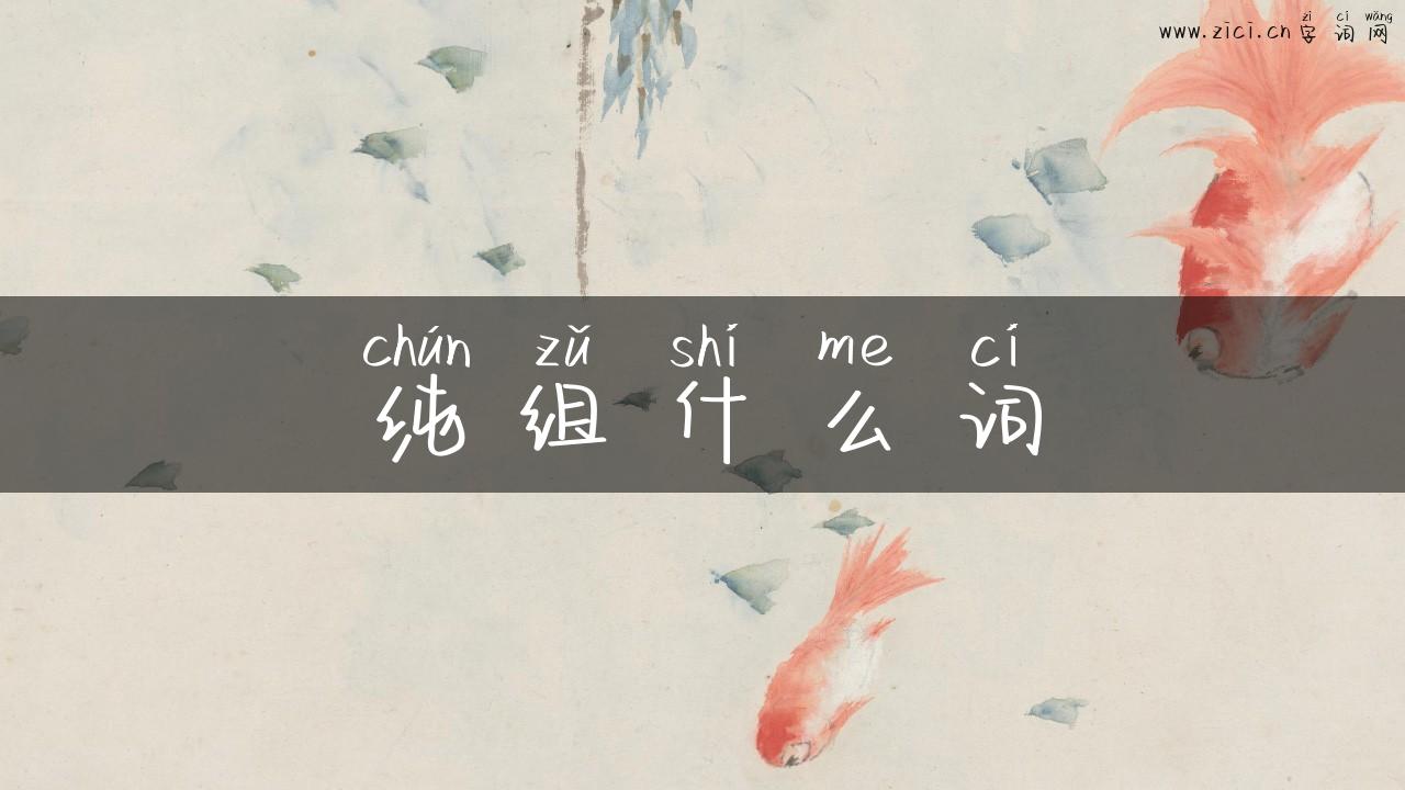 纯组什么词