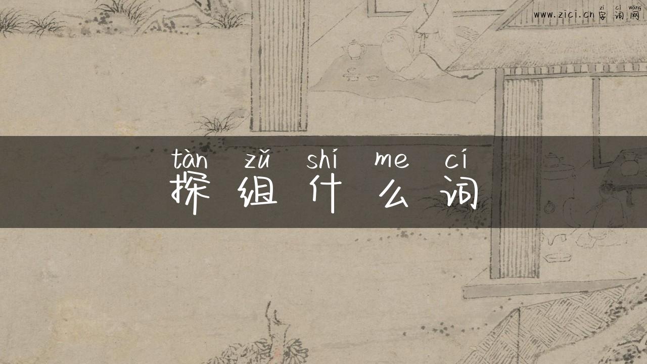 探组什么词