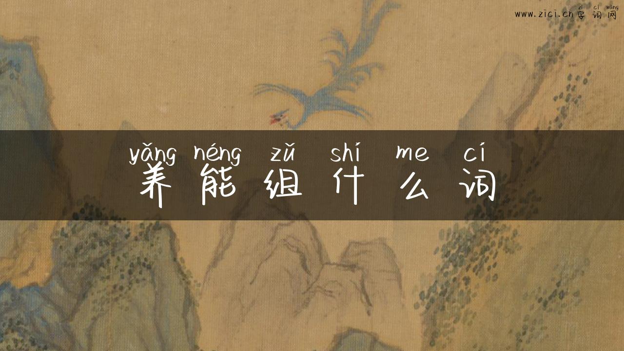 养能组什么词