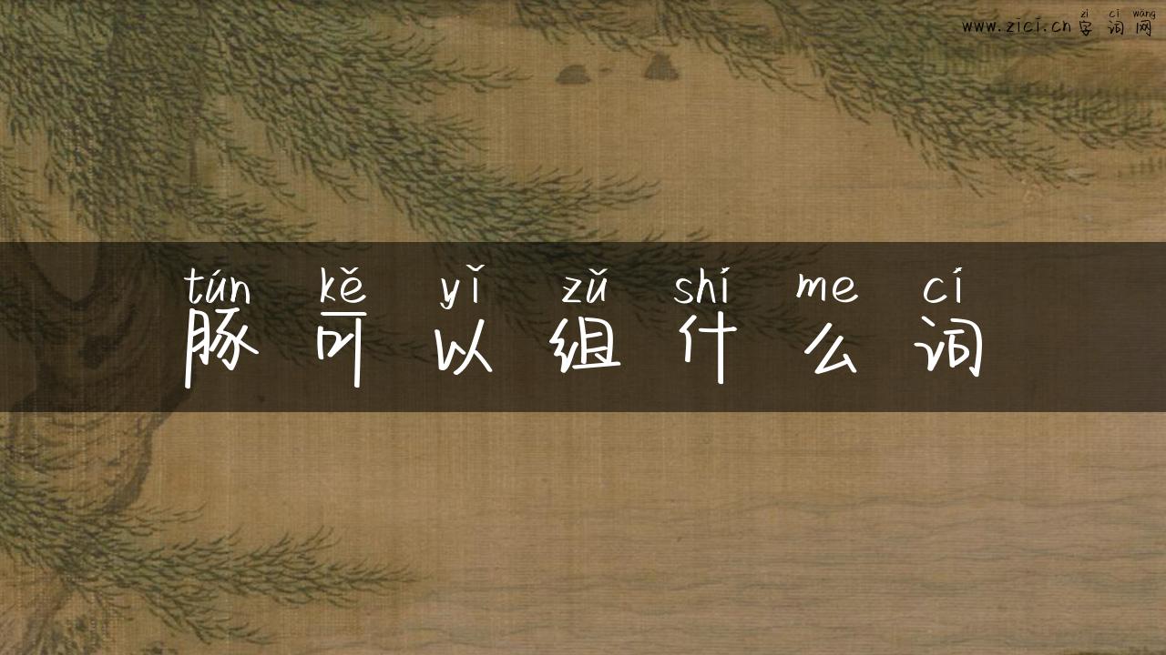 豚可以组什么词