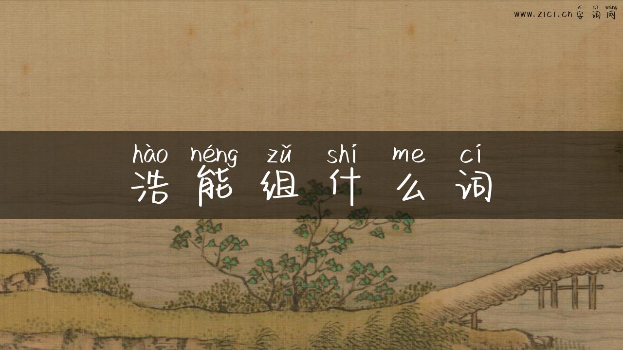 浩能组什么词