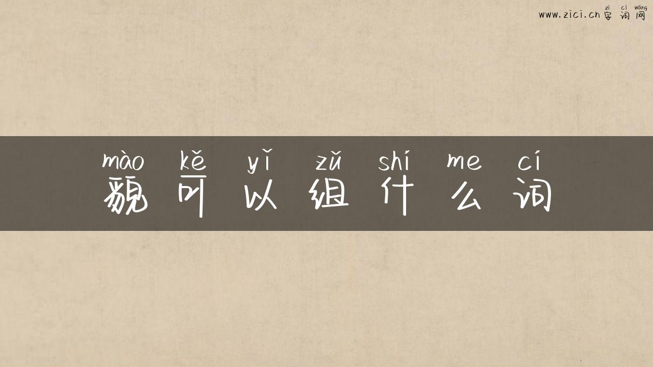 貌可以组什么词