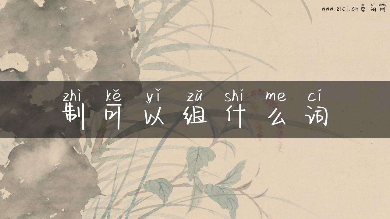 制可以组什么词