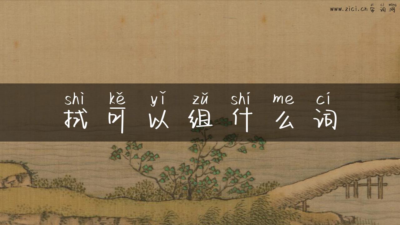 拭可以组什么词