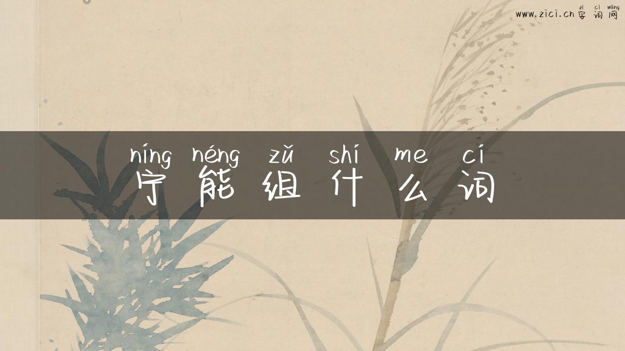宁能组什么词