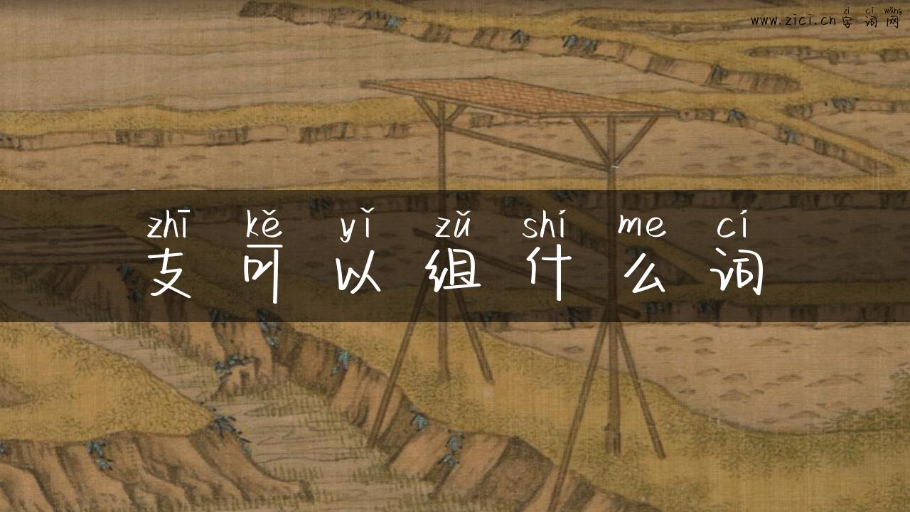支可以组什么词