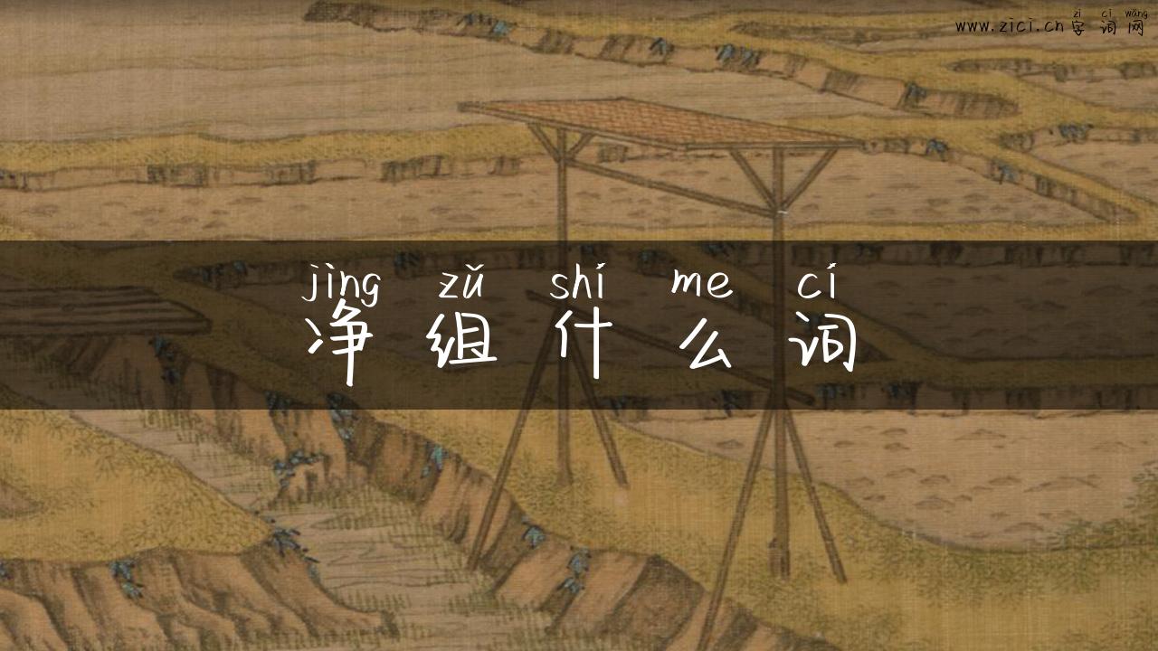 净组什么词