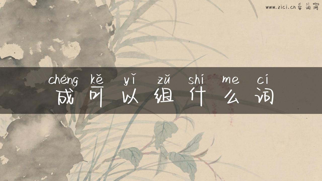 成可以组什么词