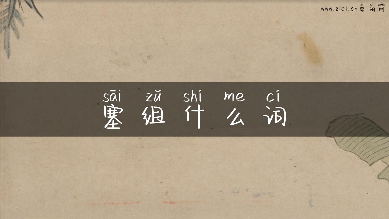 塞组什么词
