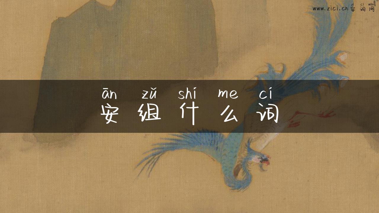 安组什么词