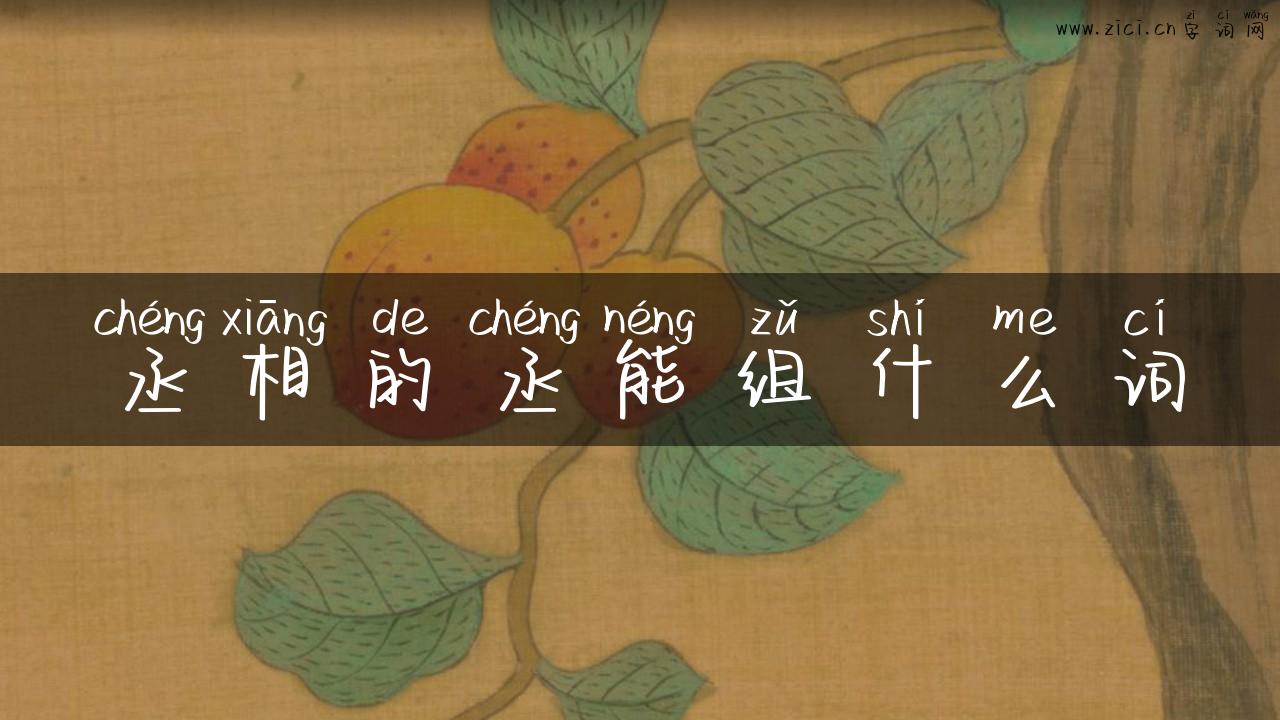丞相的丞能组什么词