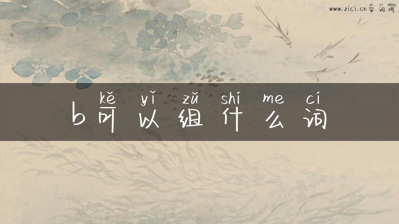 b可以组什么词