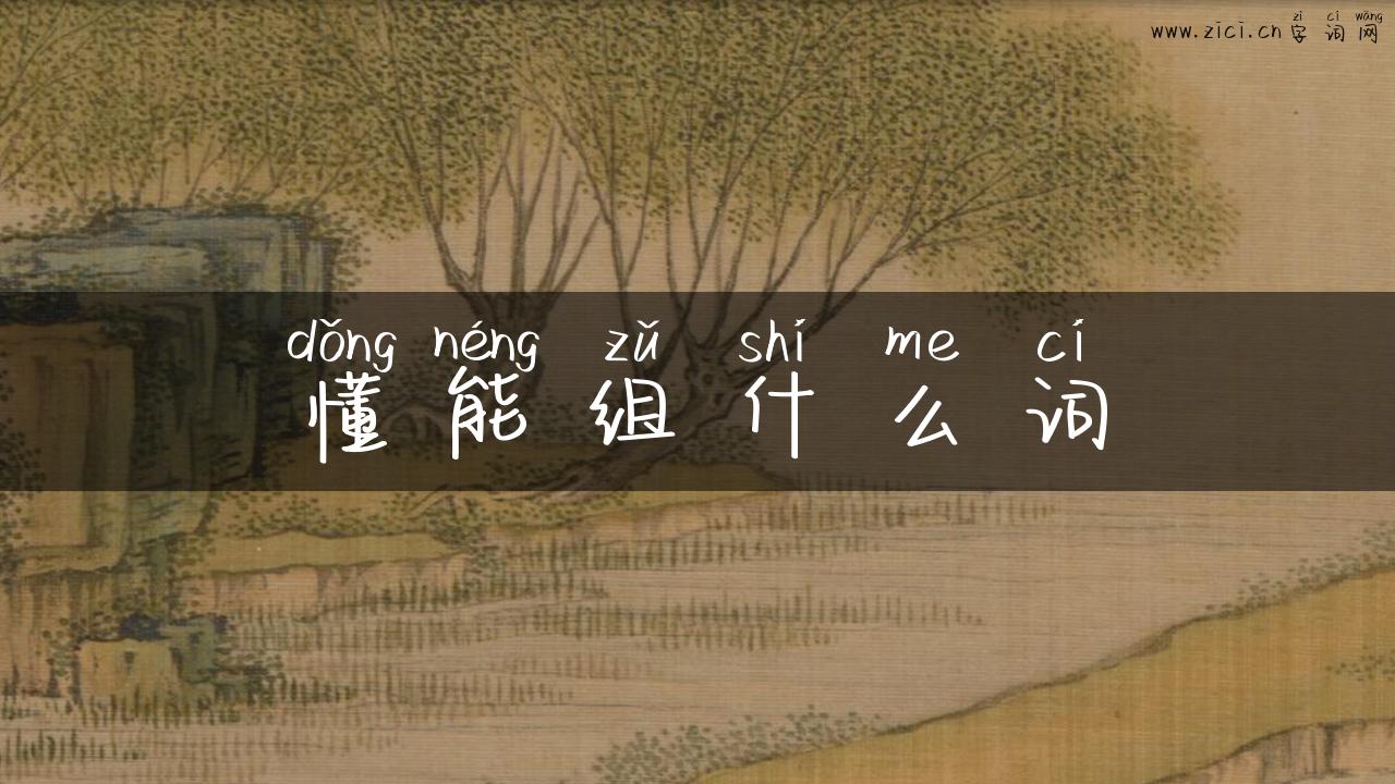 懂能组什么词