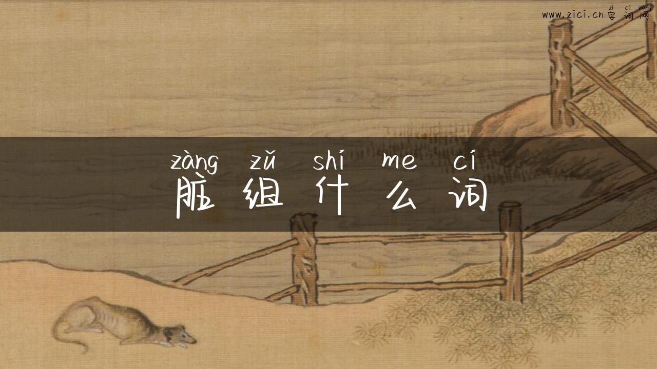 脏组什么词