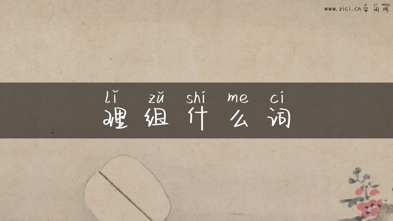 理组什么词