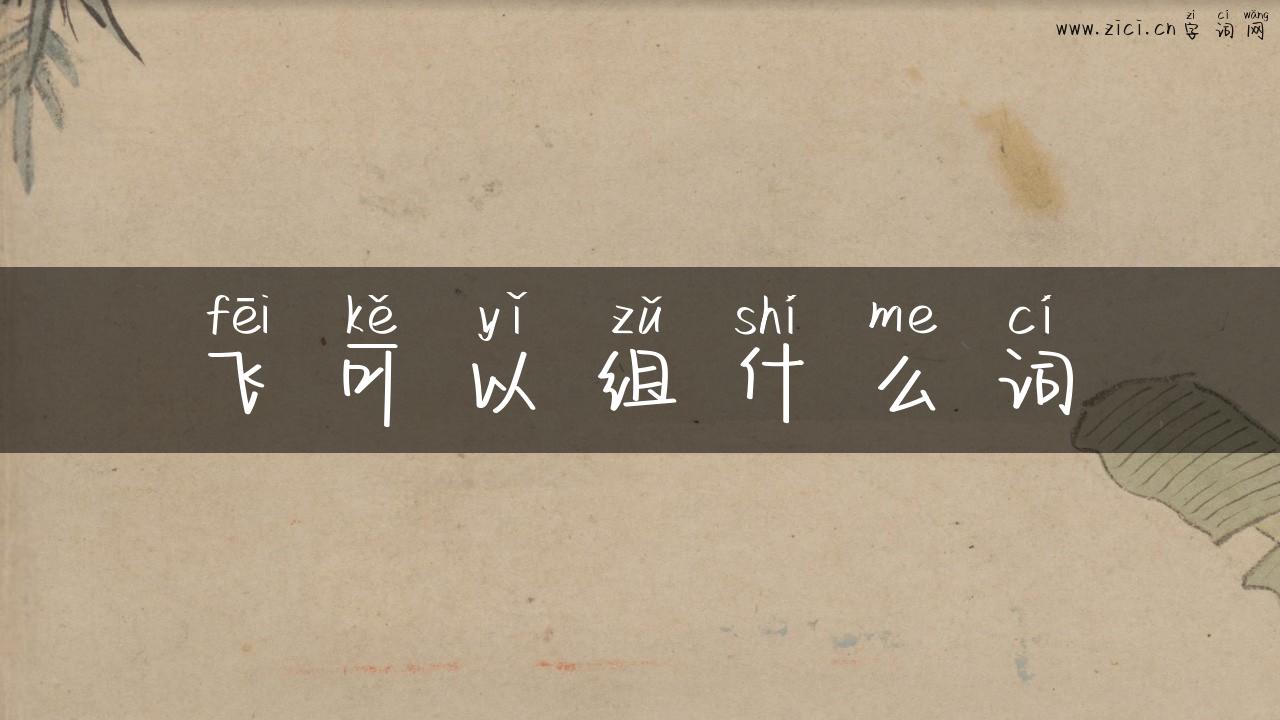 飞可以组什么词